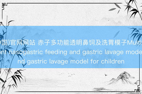 星空(中国)官网网站 赤子多功能透明鼻饲及洗胃模子Multifunctional transparent nasogastric feeding and gastric lavage model for children