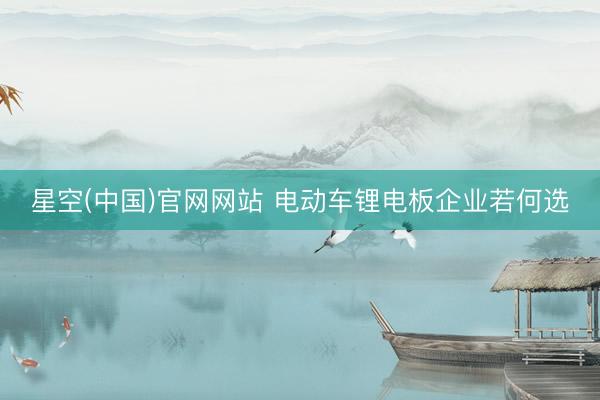 星空(中国)官网网站 电动车锂电板企业若何选