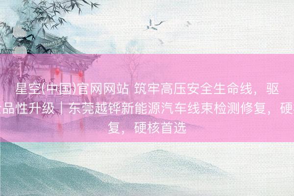 星空(中国)官网网站 筑牢高压安全生命线,驱动车企品性升级|东莞越铧新能源汽车线束检测修复,硬核首选