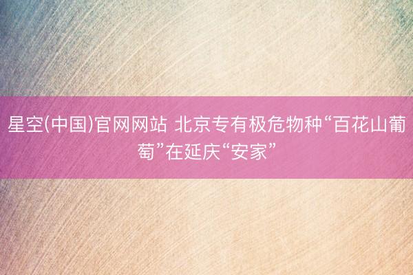 星空(中国)官网网站 北京专有极危物种“百花山葡萄”在延庆“安家”
