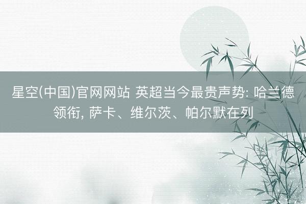 星空(中国)官网网站 英超当今最贵声势: 哈兰德领衔， 萨卡、维尔茨、帕尔默在列
