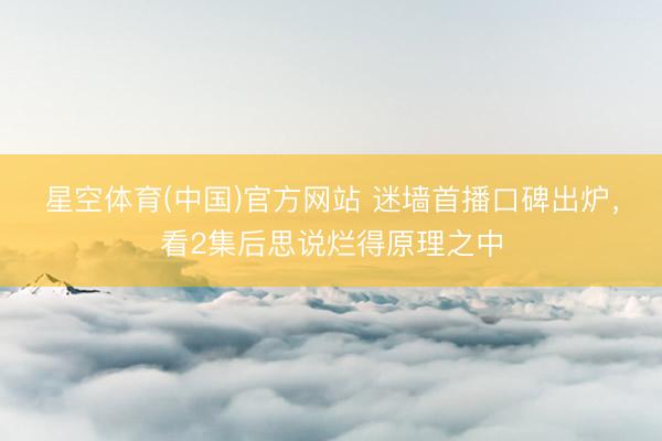 星空体育(中国)官方网站 迷墙首播口碑出炉,看2集后思说烂得原理之中