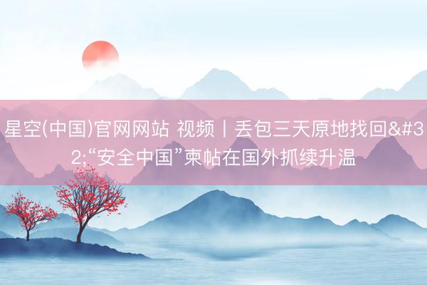 星空(中国)官网网站 视频丨丢包三天原地找回 “安全中国”柬帖在国外抓续升温