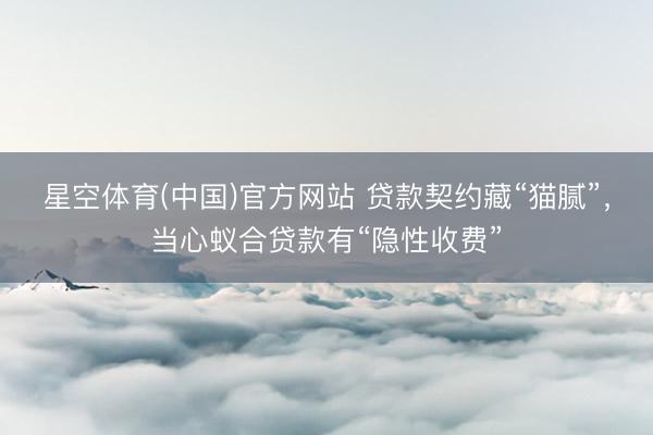 星空体育(中国)官方网站 贷款契约藏“猫腻”,当心蚁合贷款有“隐性收费”
