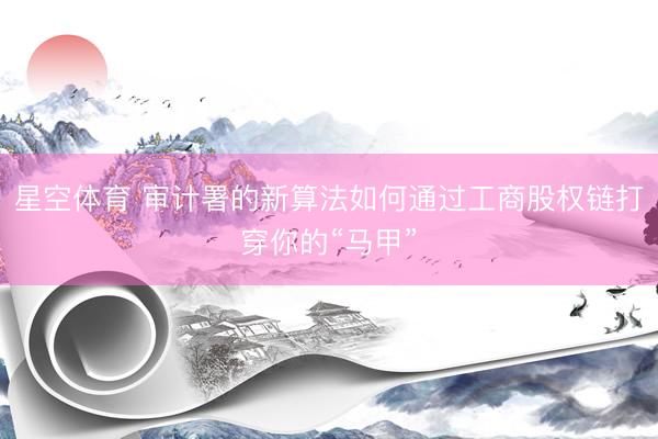 星空体育 审计署的新算法如何通过工商股权链打穿你的“马甲”