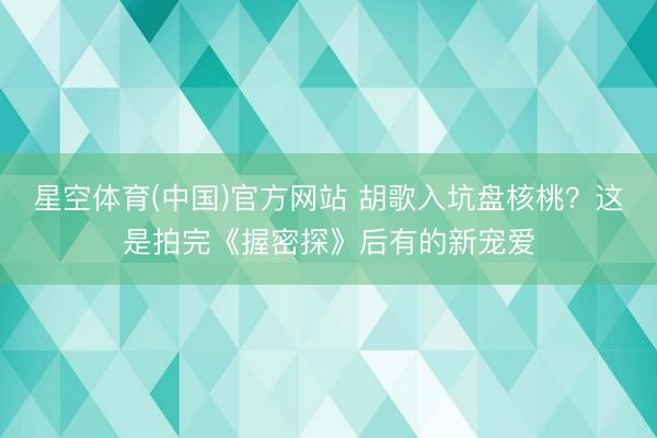星空体育(中国)官方网站 胡歌入坑盘核桃？这是拍完《握密探》后有的新宠爱